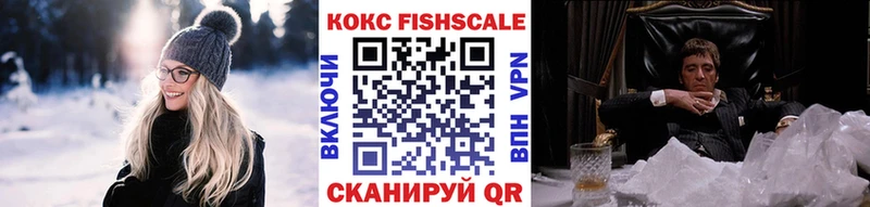 где купить наркотик  Камышин  КОКАИН Fish Scale 