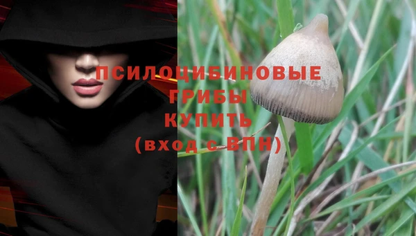 спиды Алзамай