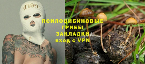 спиды Алзамай
