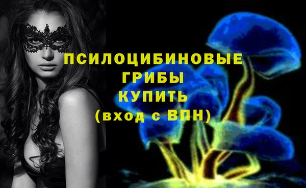 хмурый Алексеевка