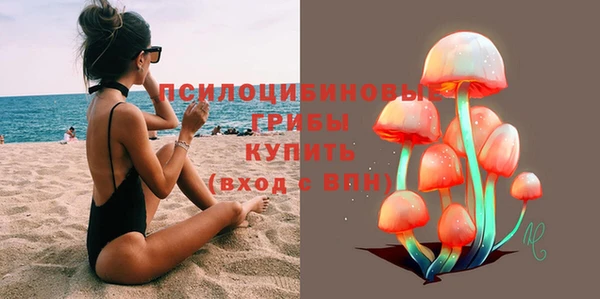 спиды Алзамай