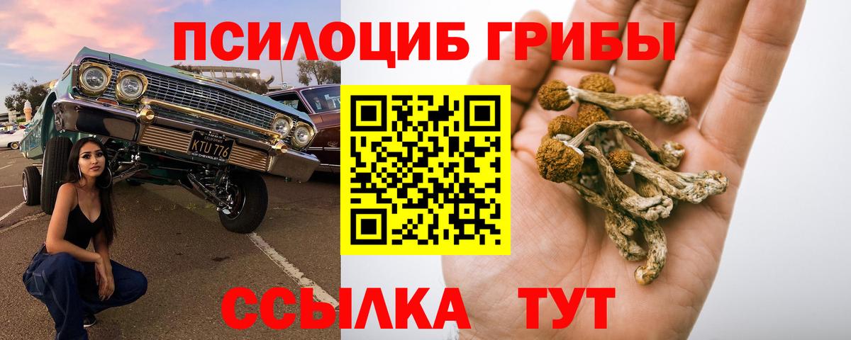 Псилоцибиновые грибы Magic Shrooms Камышин