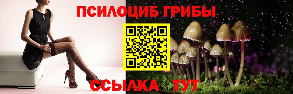 Галлюциногенные грибы мицелий  где купить   Камышин  Вход с VPN 